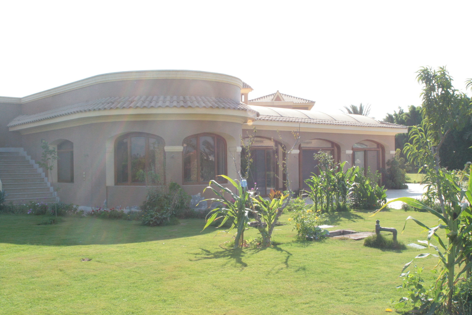 Maged Samy — custom woodwork — view 4